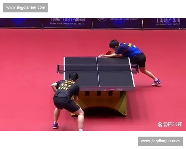 乒乓球巅峰对决精彩瞬间全景解析与赛事幕后故事